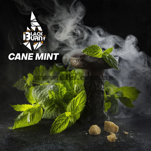 Табак Burn Black (Берн Блек) - Cane Mint (Тросниковая Мята) 50гр.