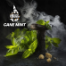 Табак Burn Black (Берн Блек) - Cane Mint (Тросниковая Мята) 50гр.