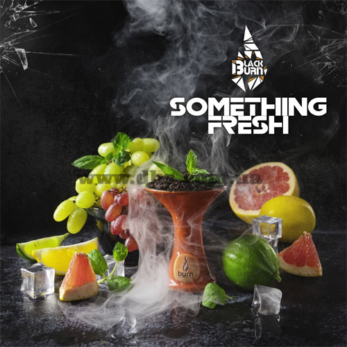 Табак Burn Black (Берн Блек) - Something Fresh (Что-то Свежее) 50гр.