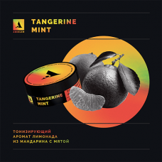 Табак Absolem (Абсолем) Tangerine mint (Мандарин со льдом) 40гр.